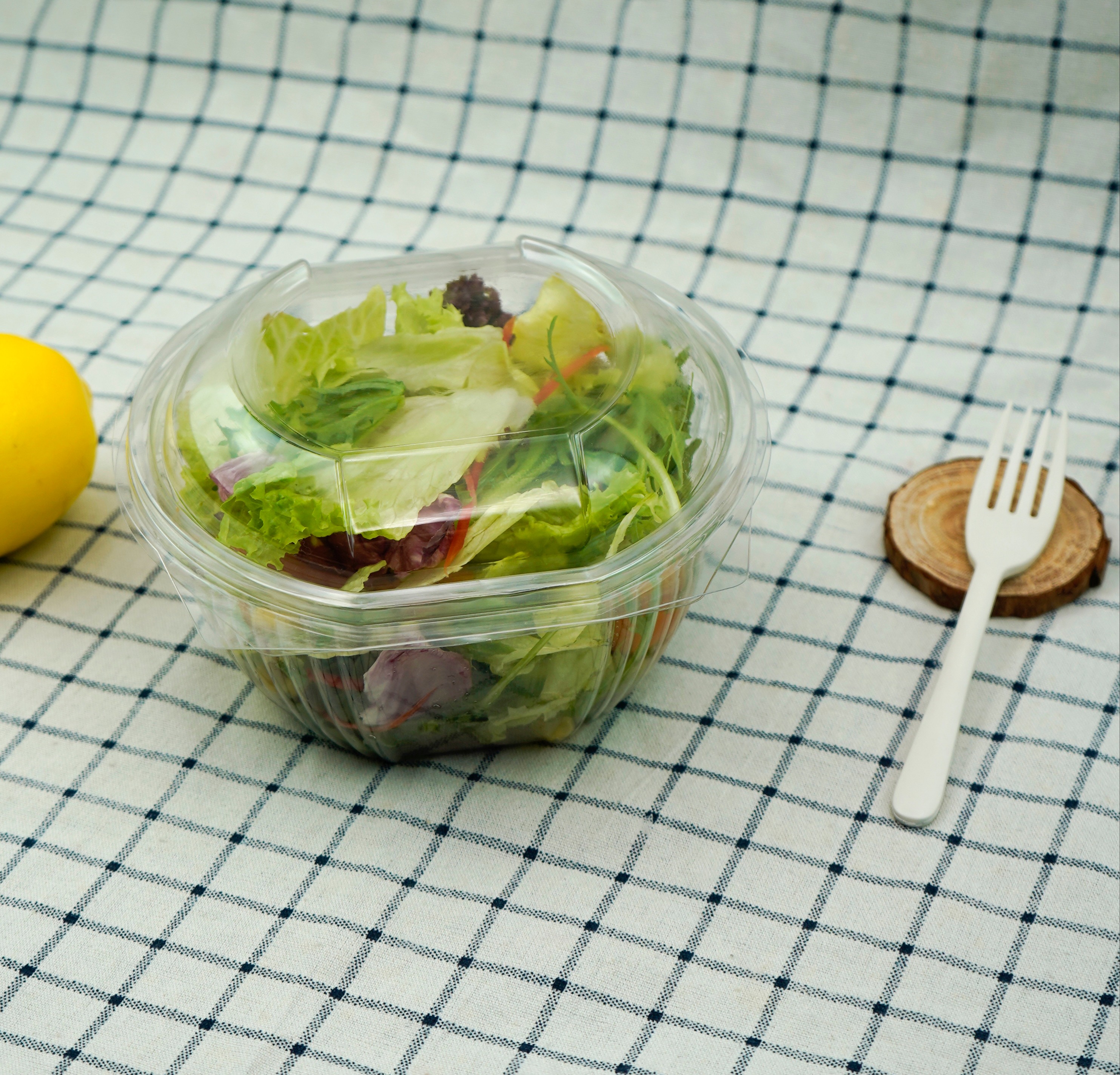 Disposable Salad Container Quality